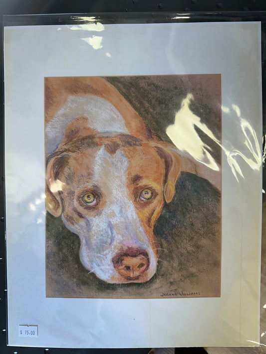 $15 Paintings By Jeanne