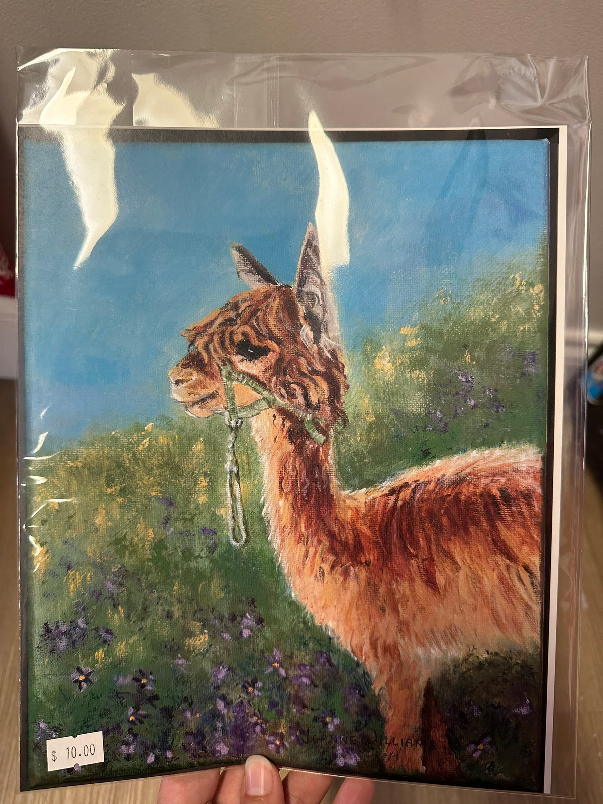 $10 Paintings By Jeanne