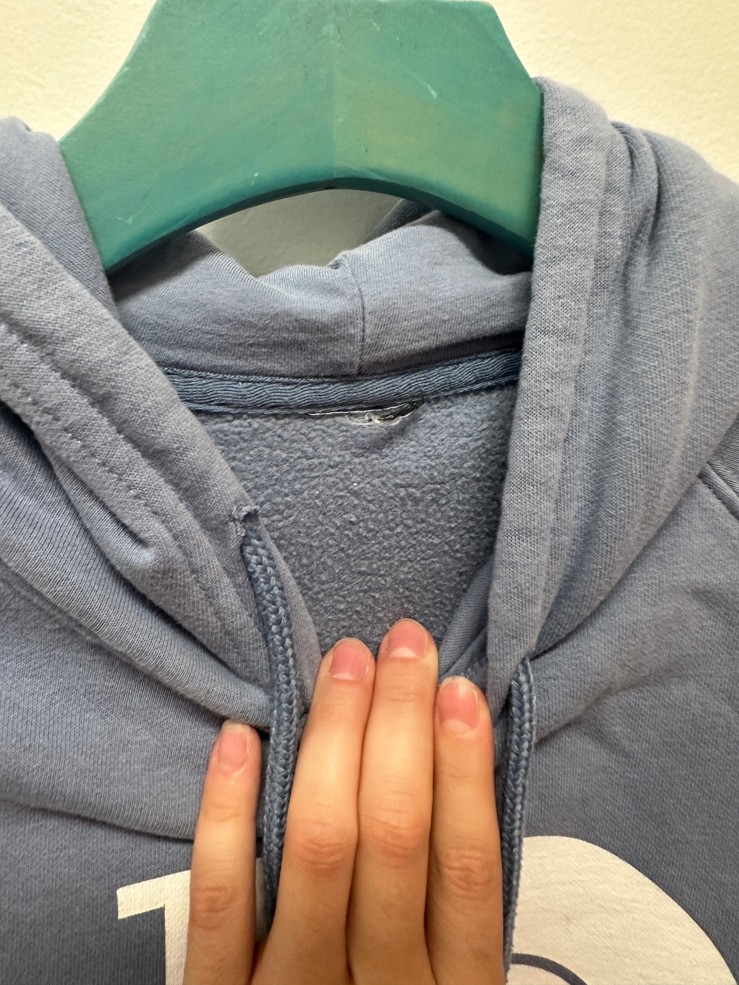 Northface Blue Hoodie
